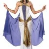 In Character Jewel Of The Nile Gown Costume 2 In Character Jewel Of The Nile Gown Costume -Sexy Halloween Clothing unnamed file 813